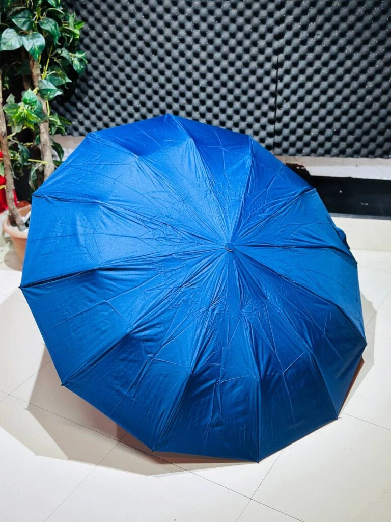 Premium 12-Ribs Automatic Dual-Person Umbrella with Fiber Handle Premium 12-Ribs Automatic Dual-Person Umbrella with Fiber Handle - Image 1