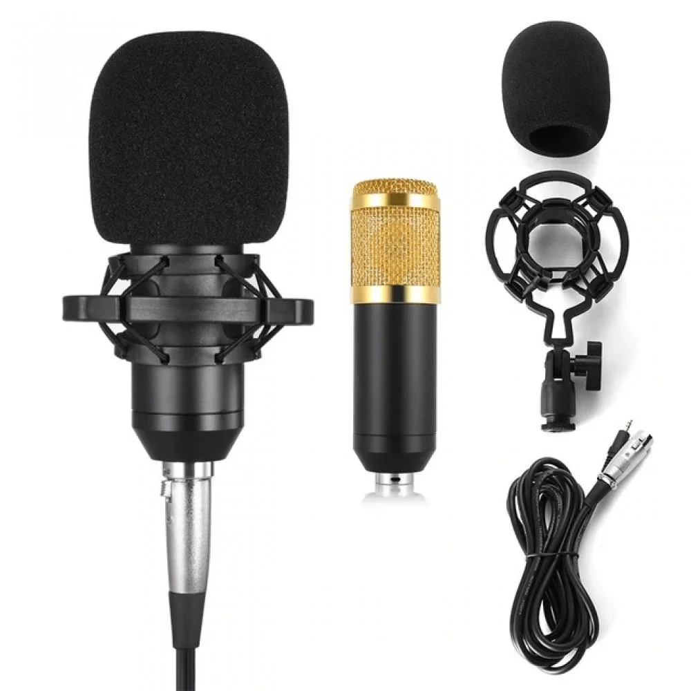 BM800 Condenser Microphone BM800 Condenser Microphone - Image 1